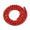 Natural Freshwater Shell Beads Strands SHEL-N003-24-B05-2