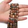 Natural Alashan Agate Beads Strands G-F809-A24-01-6