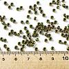 TOHO 8/0 Round Beads X-SEED-TR08-1702-4