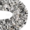 Natural Cloudy Quartz Beads Strands G-C280-A16-02-5