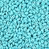 Baking Paint Glass Seed Beads SEED-T006-03H-2