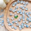 Handmade Lampwork Beads PW-WGB1177-06-1