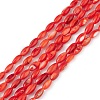 Natural Freshwater Shell Dyed Beads Strands SHEL-M018-13-05-1