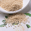 MIYUKI Delica Beads SEED-X0054-DB0205-1