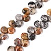 Natural Crazy Agate Beads Strands G-T138-128-1