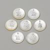 Freshwater Shell Pendants X-SHEL-Q010-005P-1
