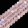 Transparent Glass Beads Strands X-EGLA-A044-T8mm-MB22-1