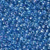 6/0 Round Glass Seed Beads SEED-US0003-4mm-163-2