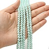 Eco-Friendly Dyed Glass Pearl Beads Strands HY-A008-6mm-RB043-2