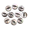 Cat Eye Style Natural Black Lip Shell Buttons SH-CBAA69B-01B-1
