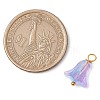 20Pcs Glass Beads Pendants PALLOY-JF03103-2
