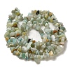 Natural Flower Amazonite Chips Beads Strands G-M205-12-01-3