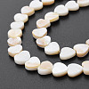 Natural Freshwater Shell Beads Strands X-SHEL-S276-70-6