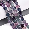 Natural Rainbow Fluorite Beads Strands G-S345-8mm-29-2