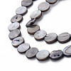 Natural Freshwater Shell Beads X-S00C20J8-6