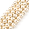 Preciosa® MAXIMA Crystal Nacre Pearls Y-PRC-NPA8-77500-2