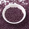 MIYUKI Round Rocailles Beads X-SEED-G008-RR0313-2