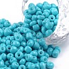 Baking Paint Glass Seed Beads SEED-US0003-4mm-K10-1