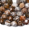 Natural Gobi Agate Beads Strands G-Z119-A36-03-5