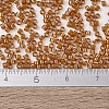 MIYUKI Delica Beads X-SEED-J020-DB1734-4