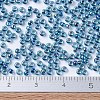 MIYUKI Round Rocailles Beads X-SEED-G007-RR0339-4