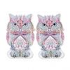 5D DIY Owl Pattern Animal Diamond Painting Pencil Case Ornaments Kits DIY-C020-01-3