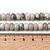 Natural Peace Jade Beads Strands G-A280-A17-02-5