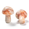 Natural Red Netstone Mushroom Gua Sha Stone G-L570-A03-4