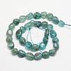 Natural Apatite Bead Strands X-G-L459-13-2