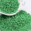Baking Paint Glass Seed Beads SEED-A033-05Q-1