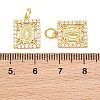Brass Micro Pave Clear Cubic Zirconia Charms CU-CBAB3AD-03G-02-3