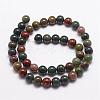 Natural Indian Bloodstone Beads Strands G-G954-02-10mm-2