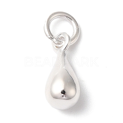 925 Sterling Silver Charms LS-STER-M120-01C-S-1