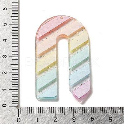 Acrylic Pendants LS-OACR-H113-01H-1
