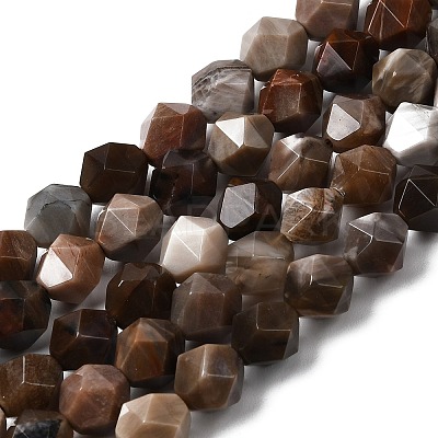 Natural Petrified Wood Beads Strands G-Z119-A21-02-1