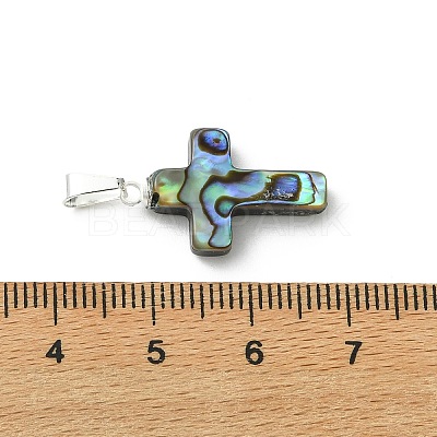 Natural Abalone Shell/Paua Shell Pendants PALLOY-JF05394-1