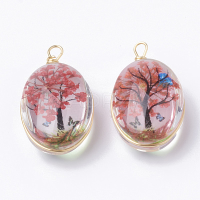 Glass Pendants X-GLAA-Q070-004-1