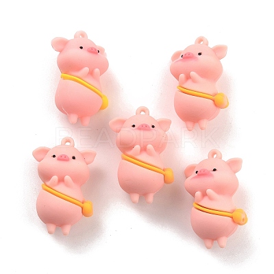 PVC Pendants X-FIND-B002-03-1