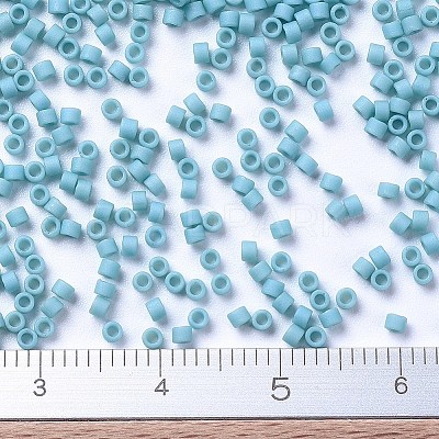 MIYUKI Delica Beads LS-X-SEED-J020-DB0375-1