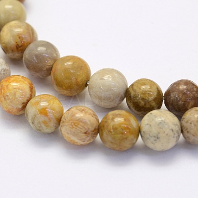 Natural Fossil Coral Beads Strands G-G697-F01-4mm-1