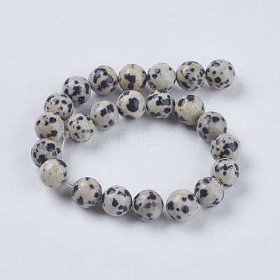 Natural Dalmation Jasper Beads Strands G-G515-8mm-06-1