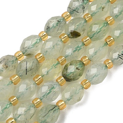 Natural Prehnite Beads Strands G-F809-A06-01-1