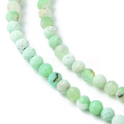 Natural Chrysoprase Beads Strands G-F748-X01-03B-1