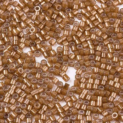 FGB 11/0 Grade A Baking Paint Glass Seed Beads X-SEED-S030-1146-1