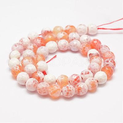 Faceted Natural Fire Crackle Agate Beads Strands G-F447-8mm-B03-1