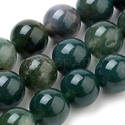Natural Moss Agate Beads Strands G-I199-06-10mm-1