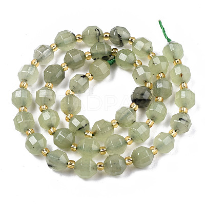 Natural Prehnite Beads Strands G-T131-78A-1