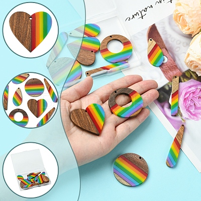 12Pcs 6 Styles Pride Rainbow Theme Resin & Walnut Wood Pendants WOOD-FS0001-32-1
