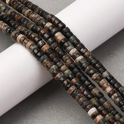 Natural Biotite Beads Strands G-L624-I12-2x4mm-1
