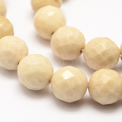 Natural Fossil Round Bead Strands X-G-O151-02-6mm-1